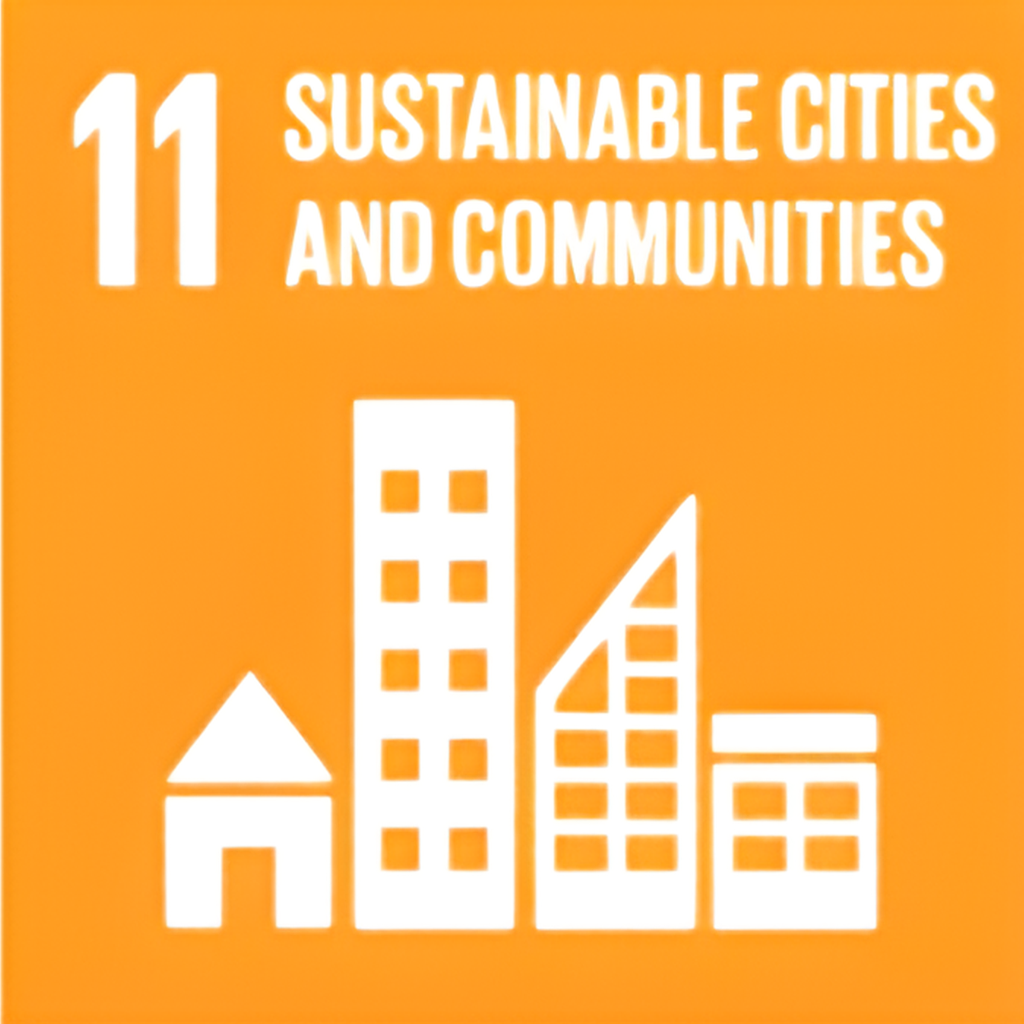 SDG 11